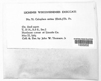 Image Associated With the Occurence